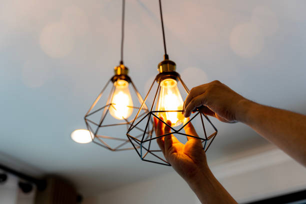 Best Licensed Electrician  in Orangetree, FL